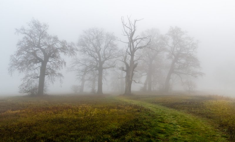 Осенние цвета фото превью