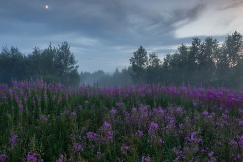 Смеркалось