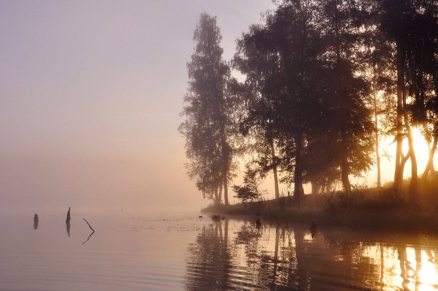 , Макеев Алексей