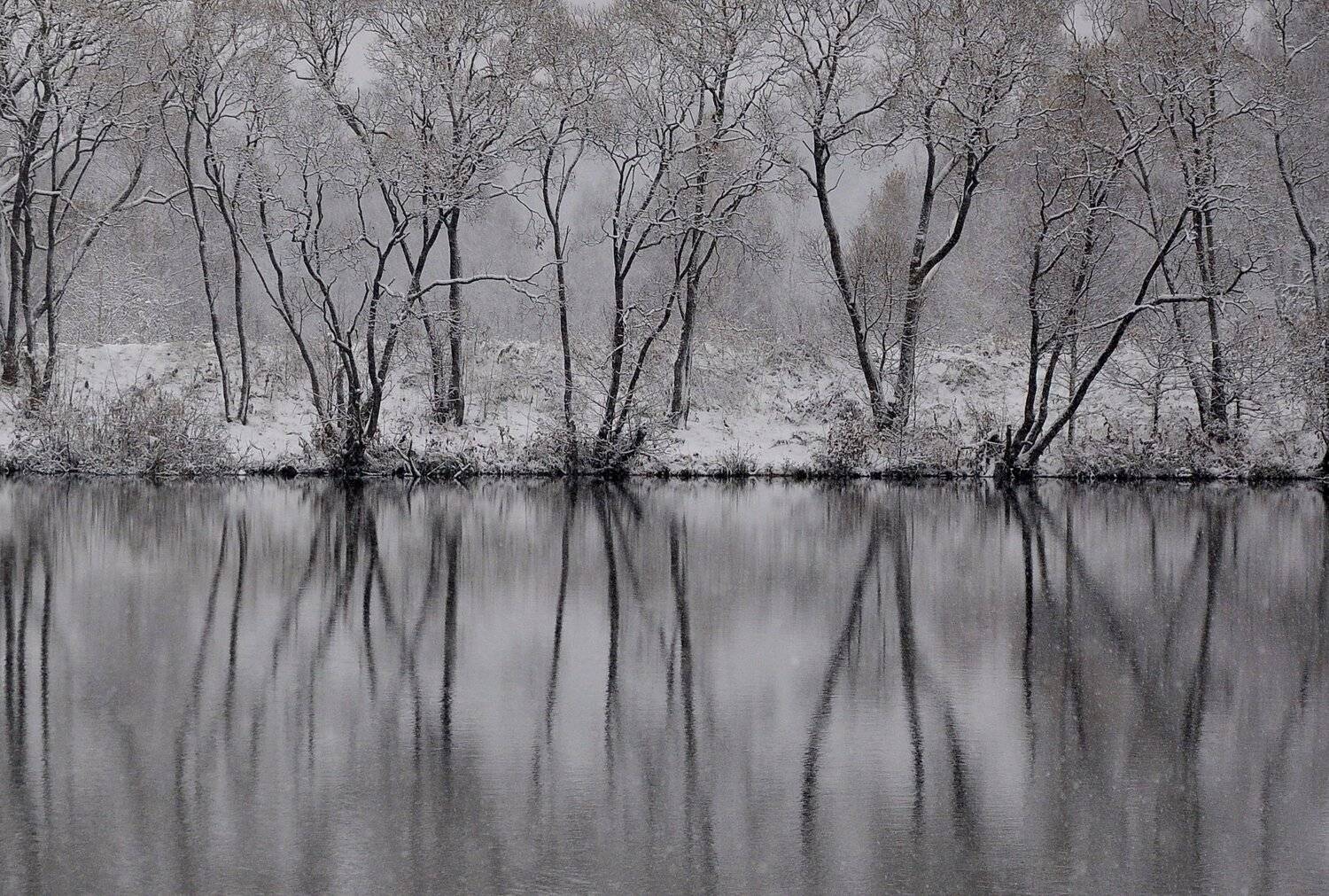 , Макеев Алексей