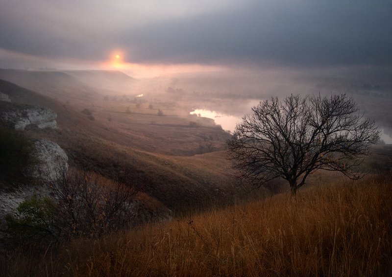 ProFog фото превью