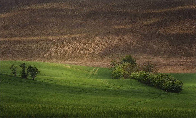 Моравская тональность фото превью