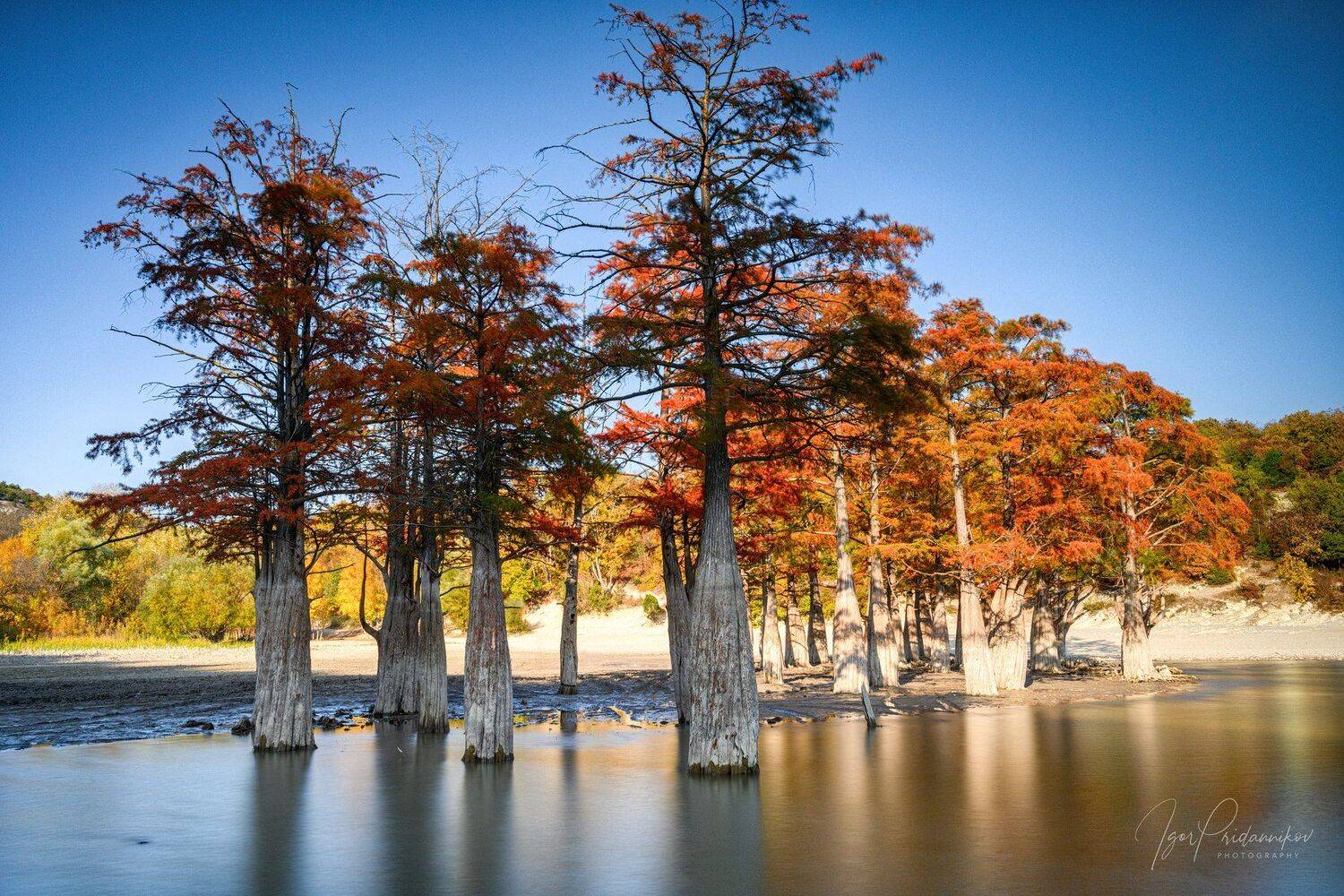 , Игорь Приданников