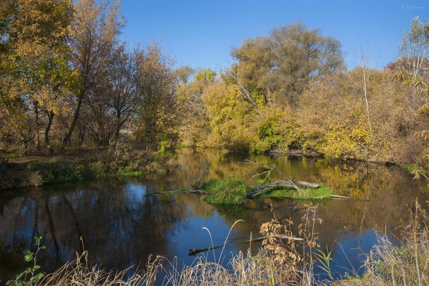 осень,утро,берег,река, Roma  Chitinskiy