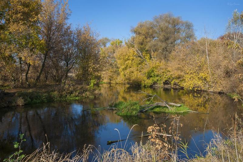 осень,утро,берег,река Утро лета бабьего ... фото превью