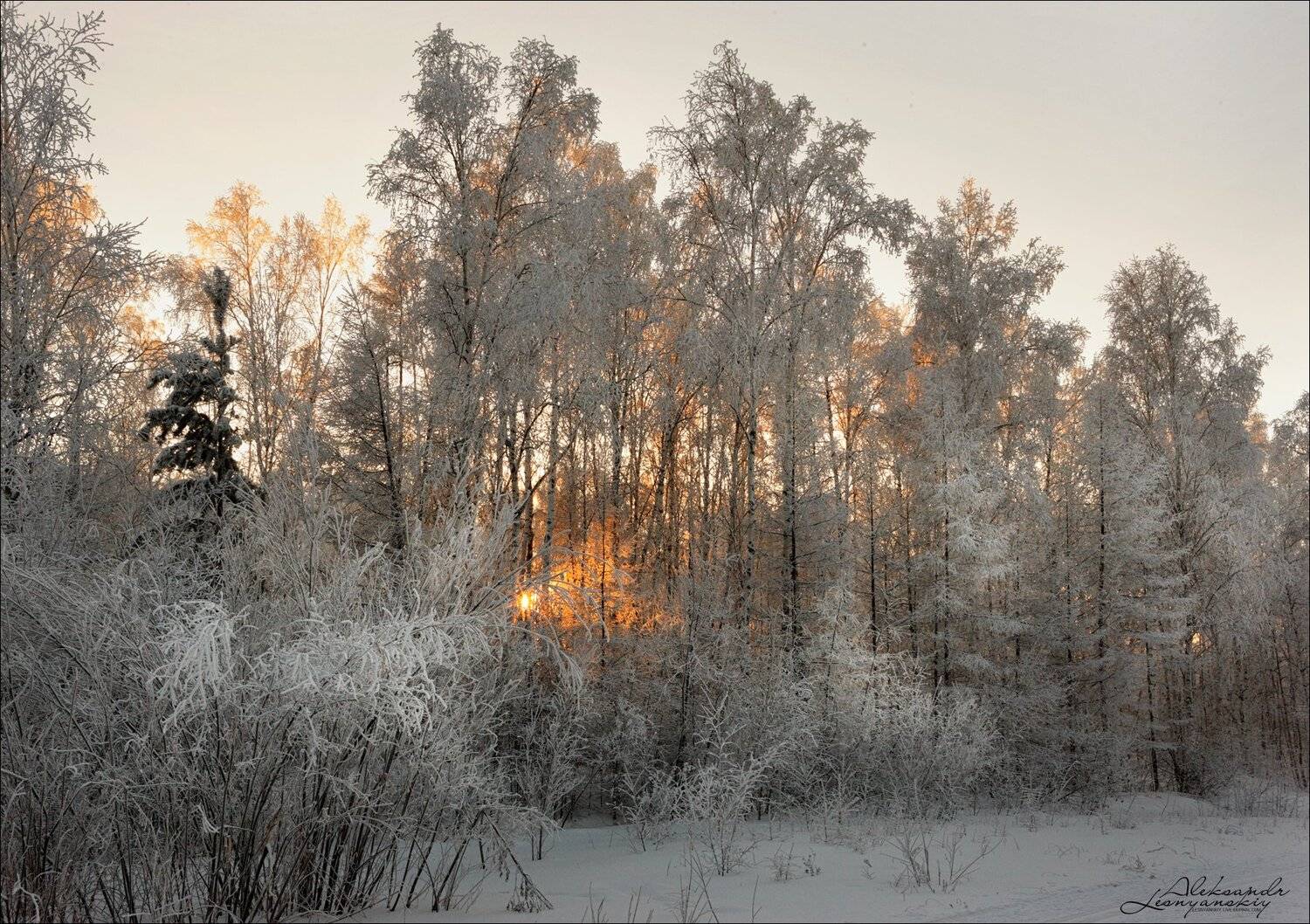 забайкальский край, Александр Леснянский