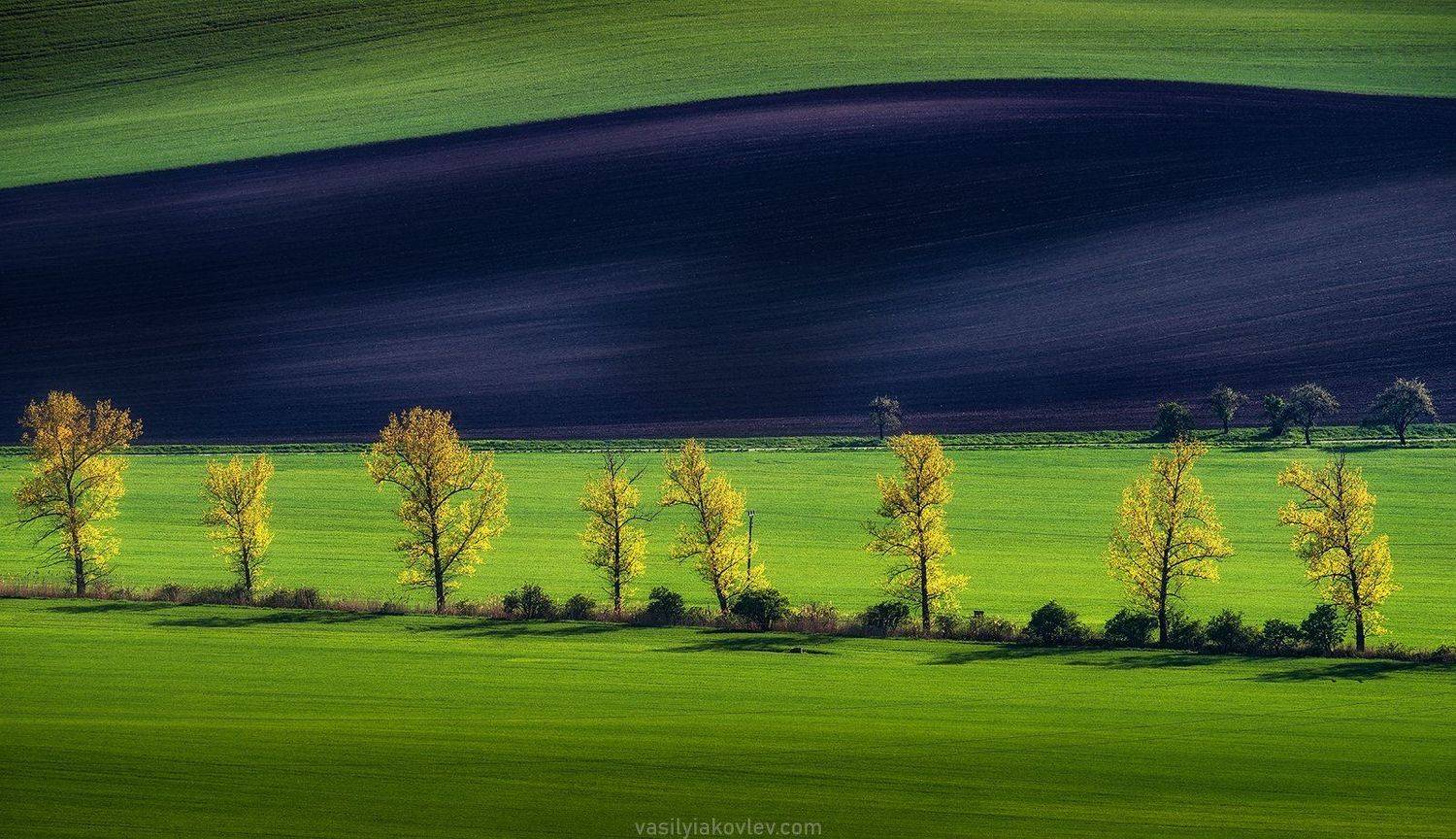 моравия, чехия, Василий Яковлев