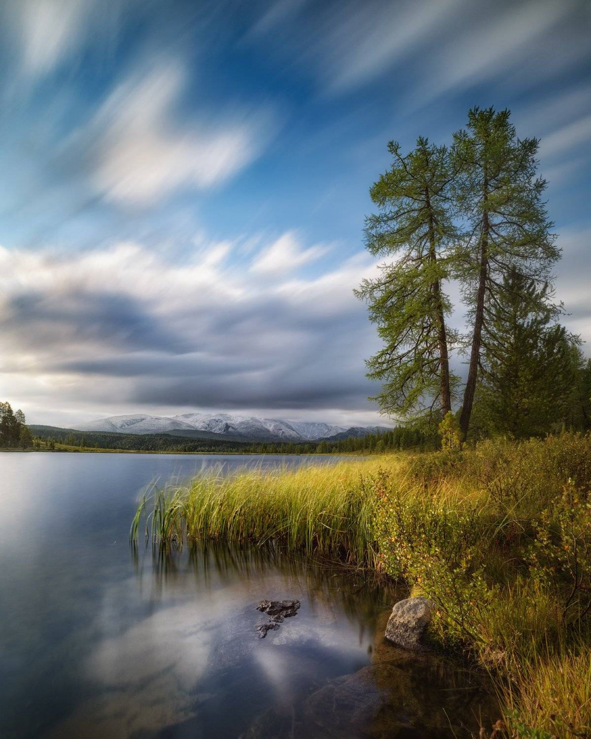 алтай, горный алтай, киделю, кеделю, курайский хребет, лиственницы, горы, сердце, улаганский район, улаганский перевал, altai mountains, highlands, long exposure, Алена Рубан