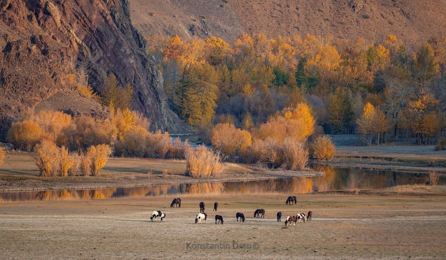 , Константин Дэм
