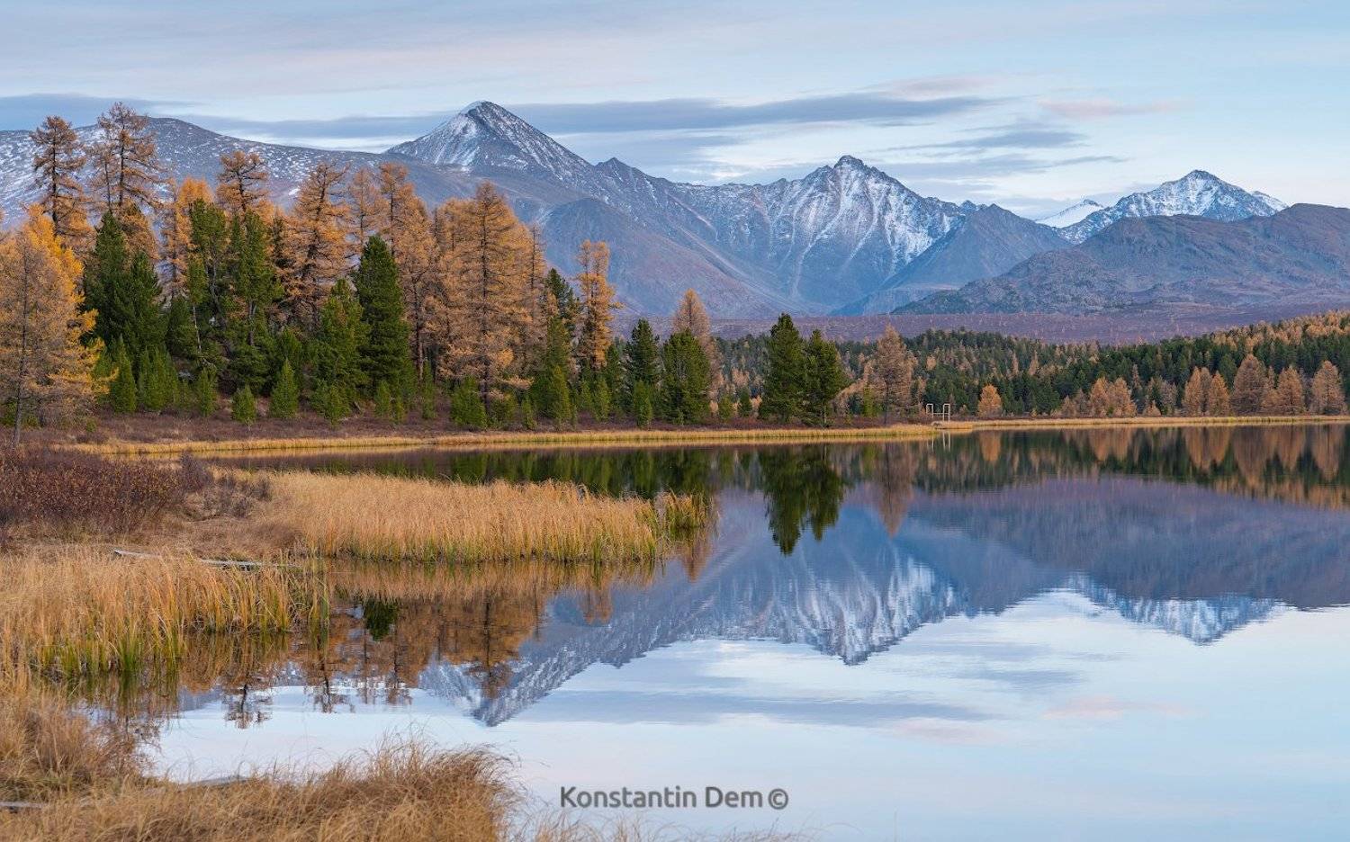 , Константин Дэм