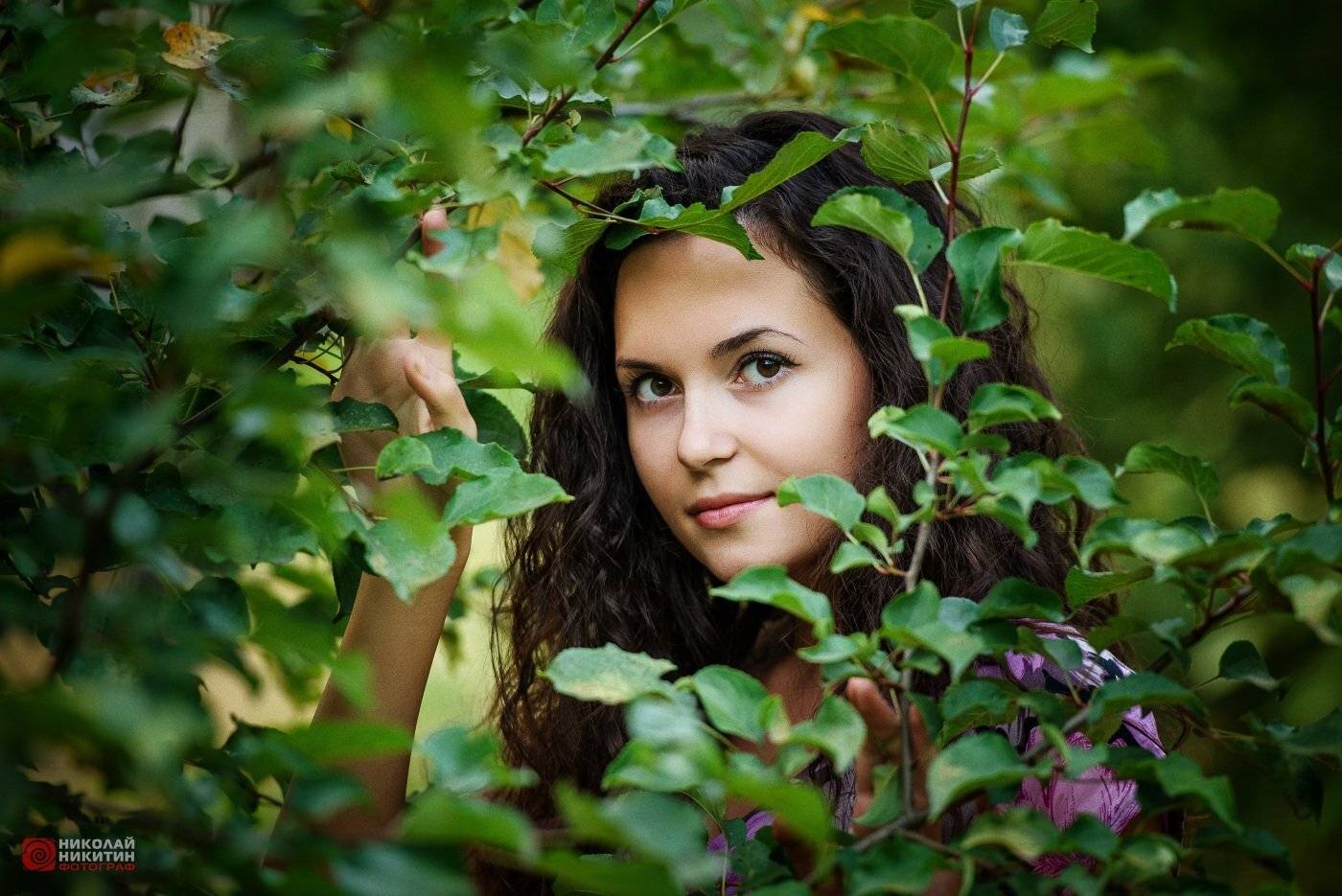 , Никитин Николай