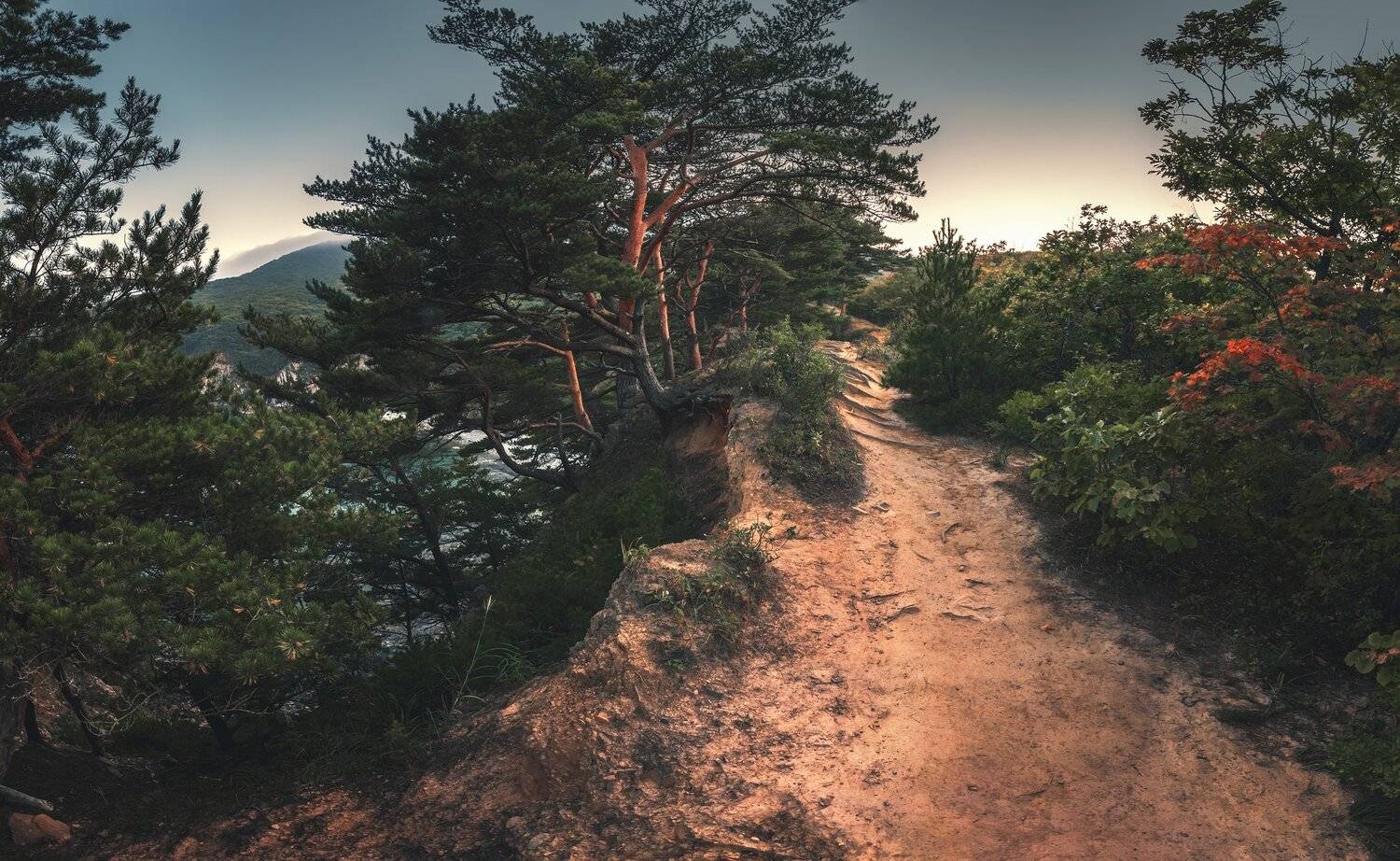 осень, деревья, вечер, Андрей Кровлин