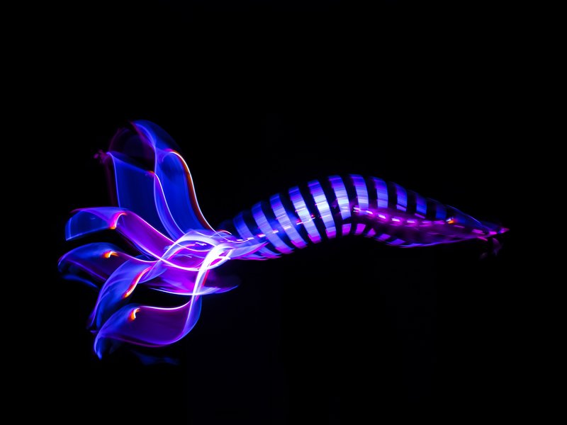 lightpainting, lightart, longexposure, nightphotography, light, night, lightblade The deeper you go, the steeper the fish.Чем глубже опускаешься, тем круче рыба. фото превью