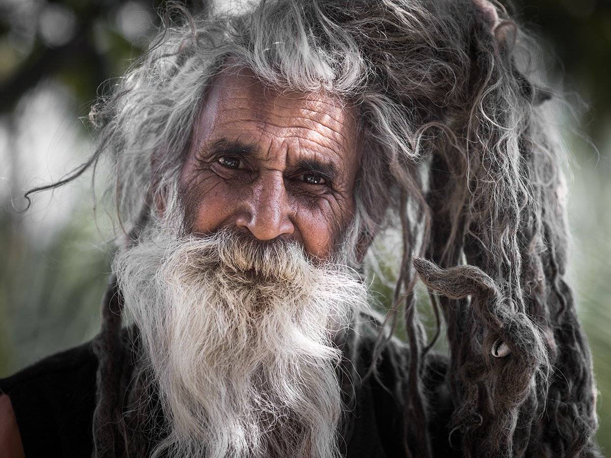 , Алексей Терентьев