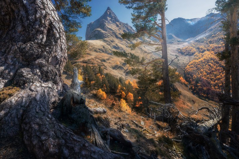 Тропой фото превью