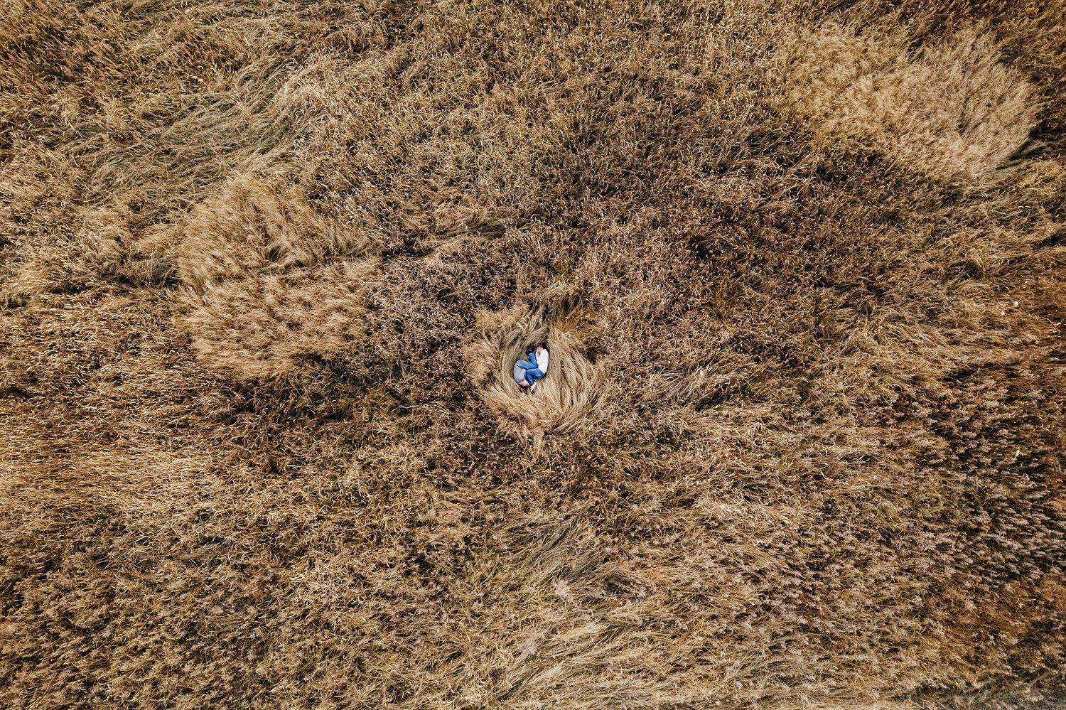 аэросъемка, владивосток, приморье, колосья, осень, любовь, гнездо, Антон Блохин