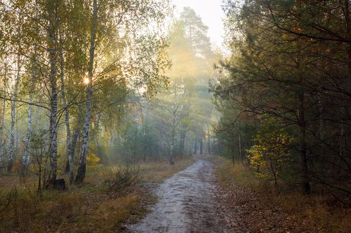 В душе покой и всё во мне как-будто исчезает