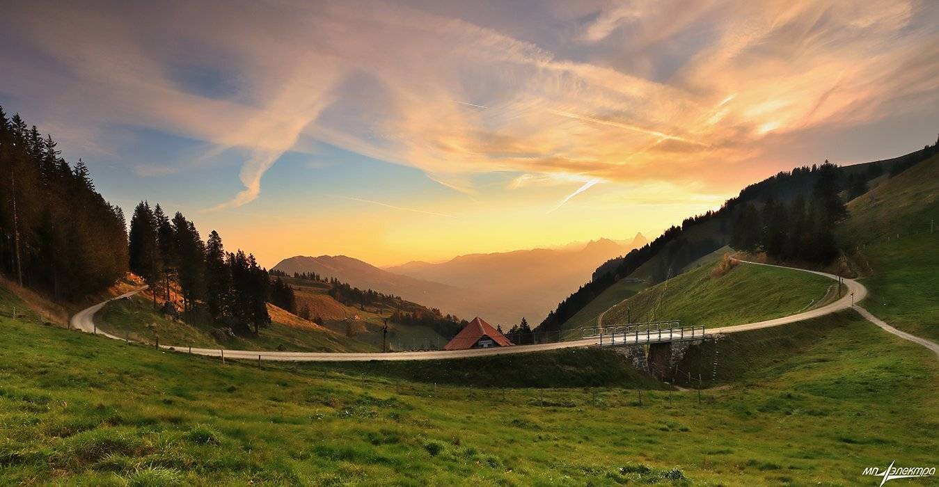 swiss, Матвеев Николай