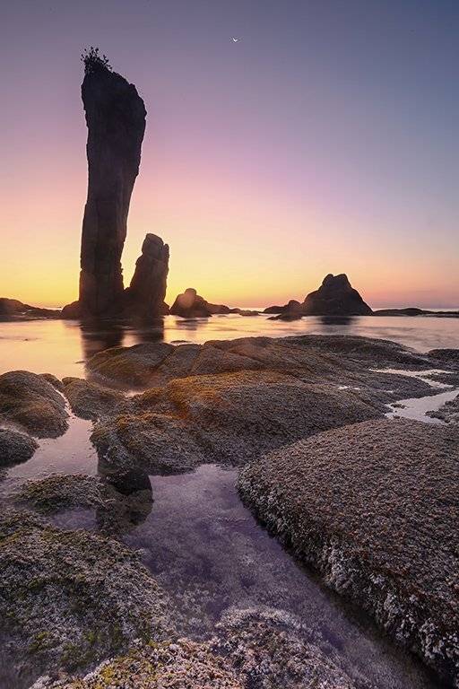 , Андрей Ершов