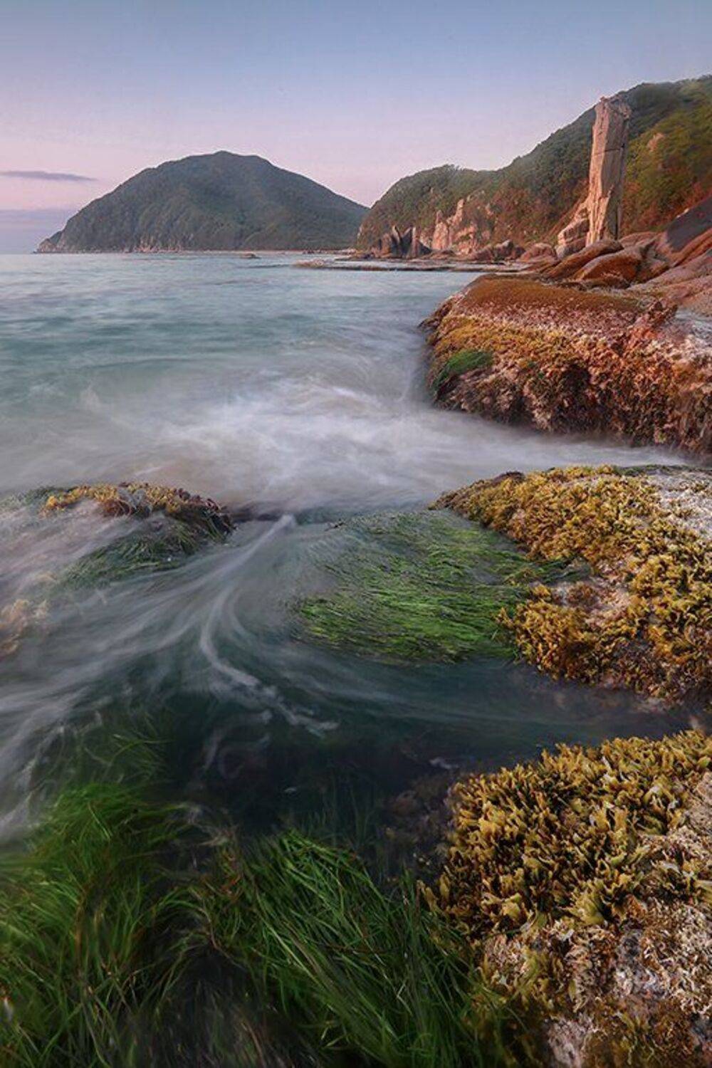 , Андрей Ершов