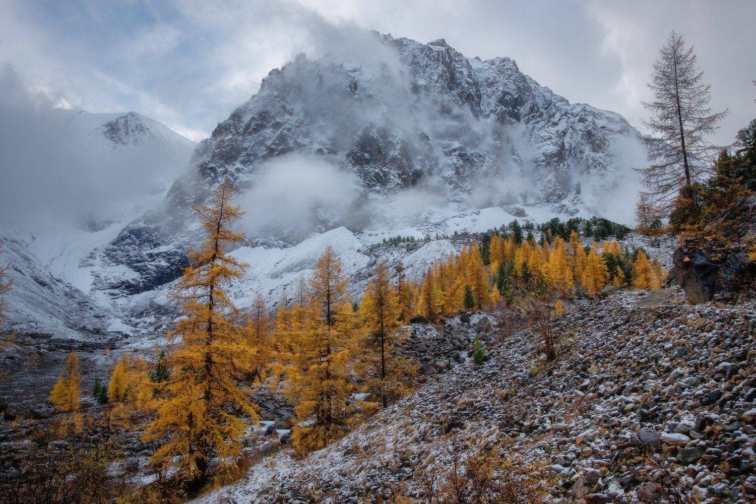 алтай, горы, актру, Владимир Ляпин