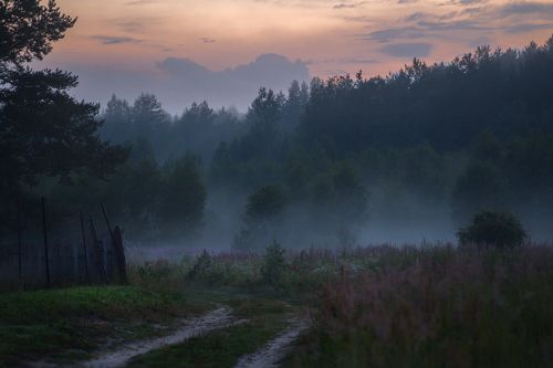 Туман поднимается