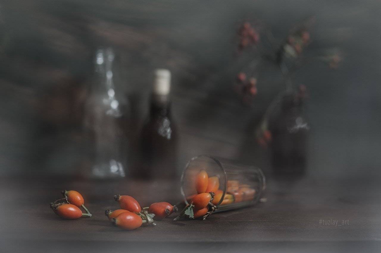 шиповник, боярышник, колючки, софт эффект, Владимир Тузлай