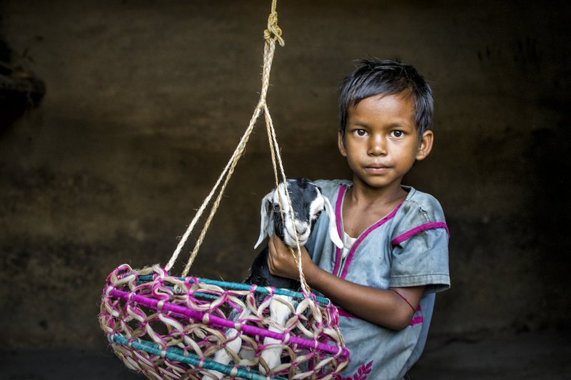 Village girl фото превью