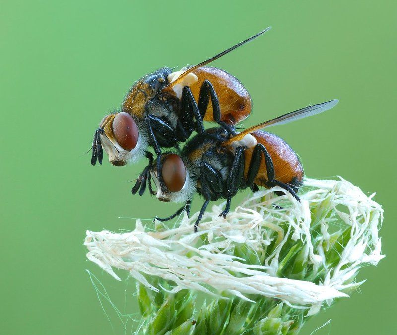 ну, поскакали! фото превью