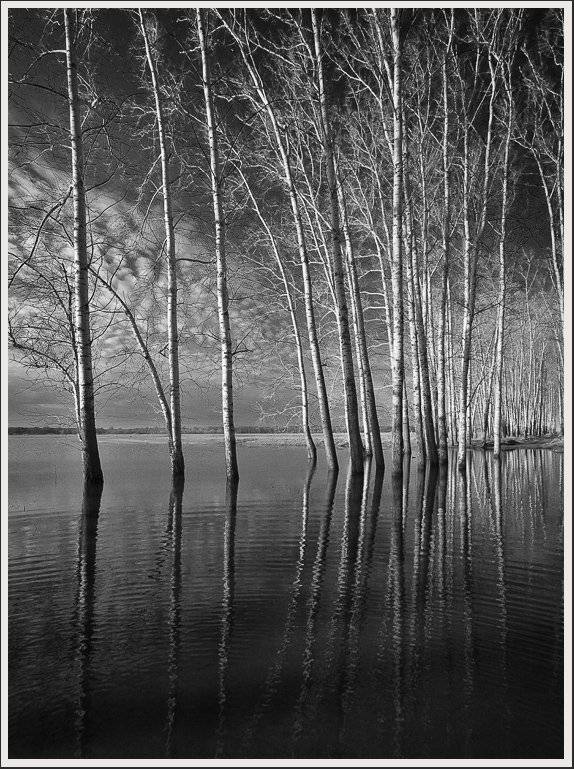 , Сергей Захаров.