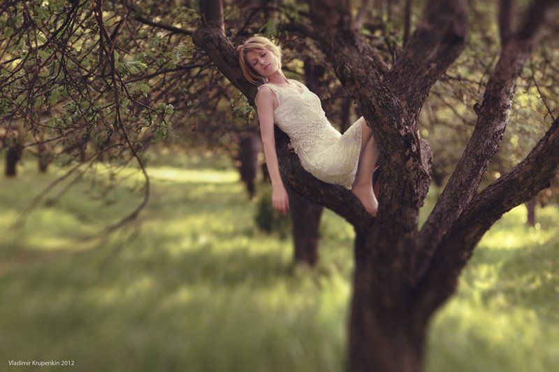 *** фото превью