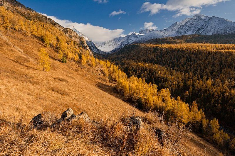 алтай, куйгук, долина, осень, горы Прощание с Куйгуком фото превью