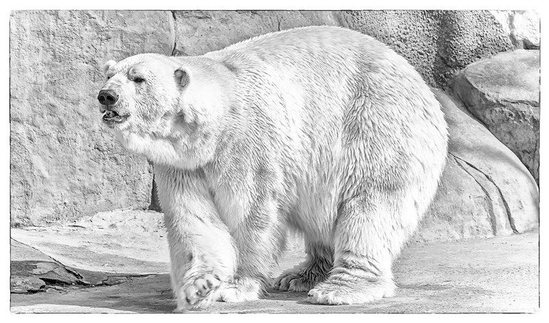 Walk this way фото превью