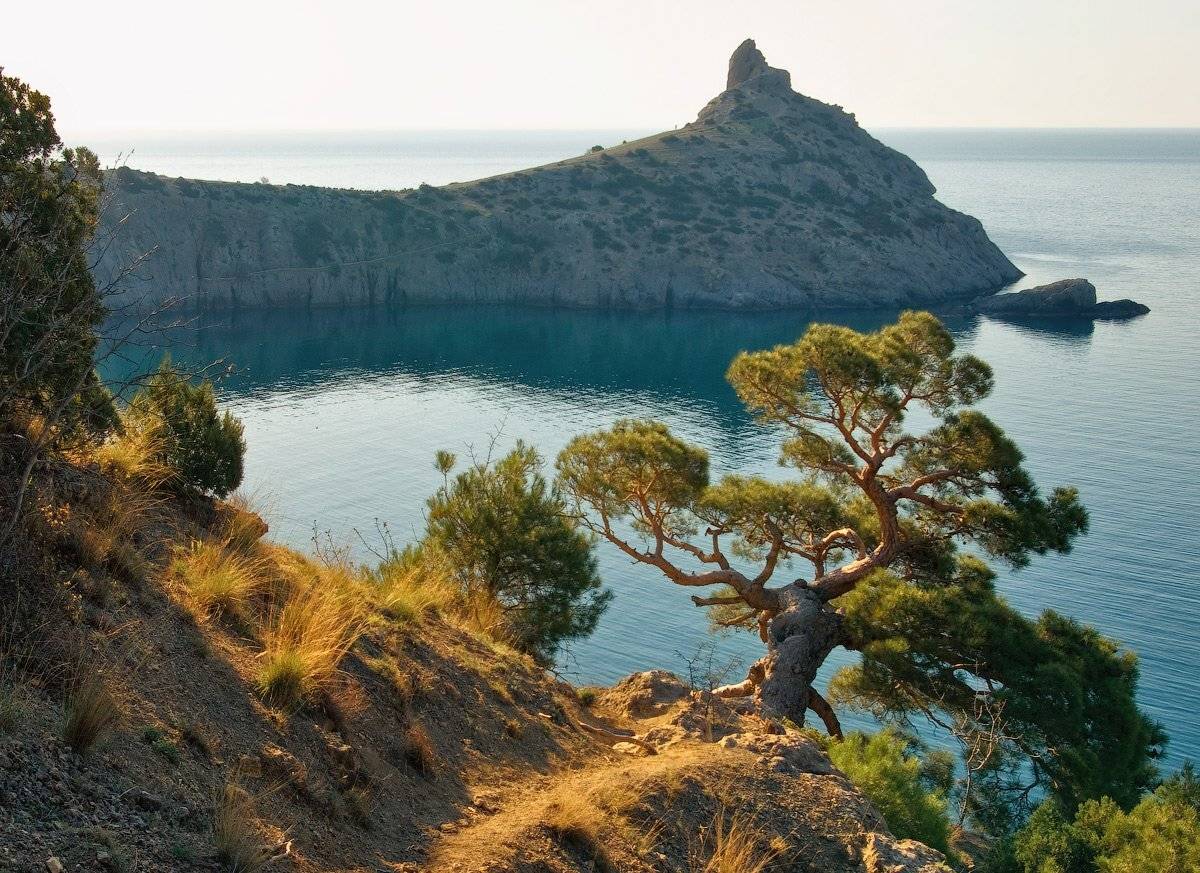 , Игорь Мелекесцев