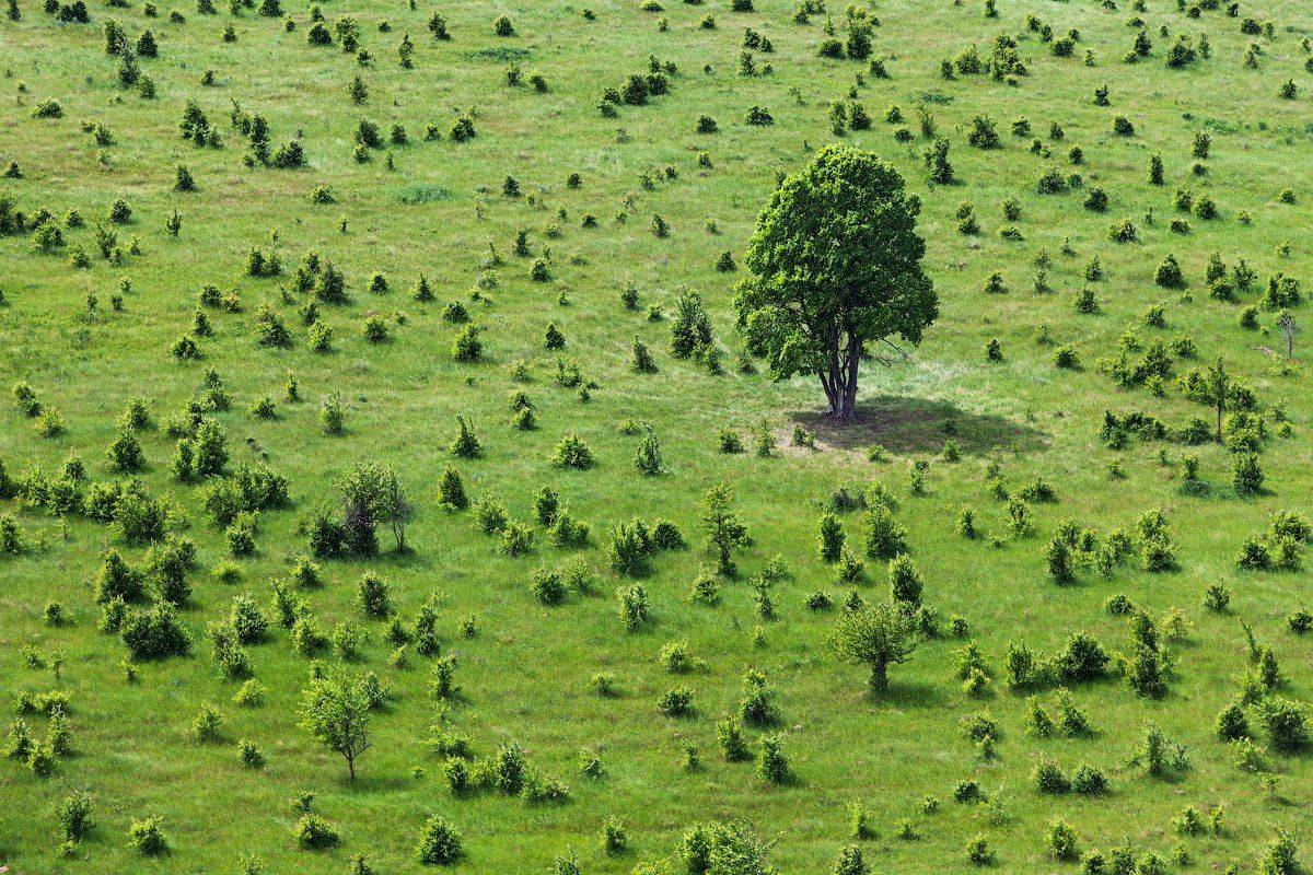 , Сергей Ершов
