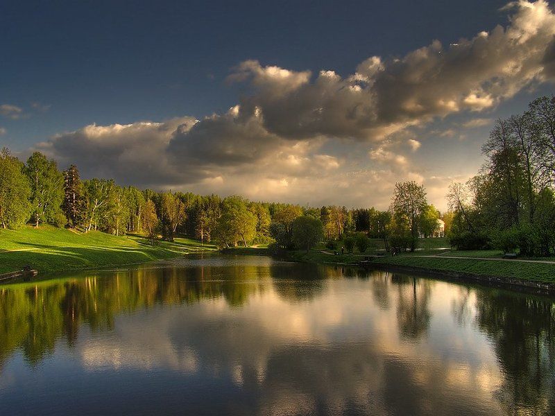 ~74~ фото превью