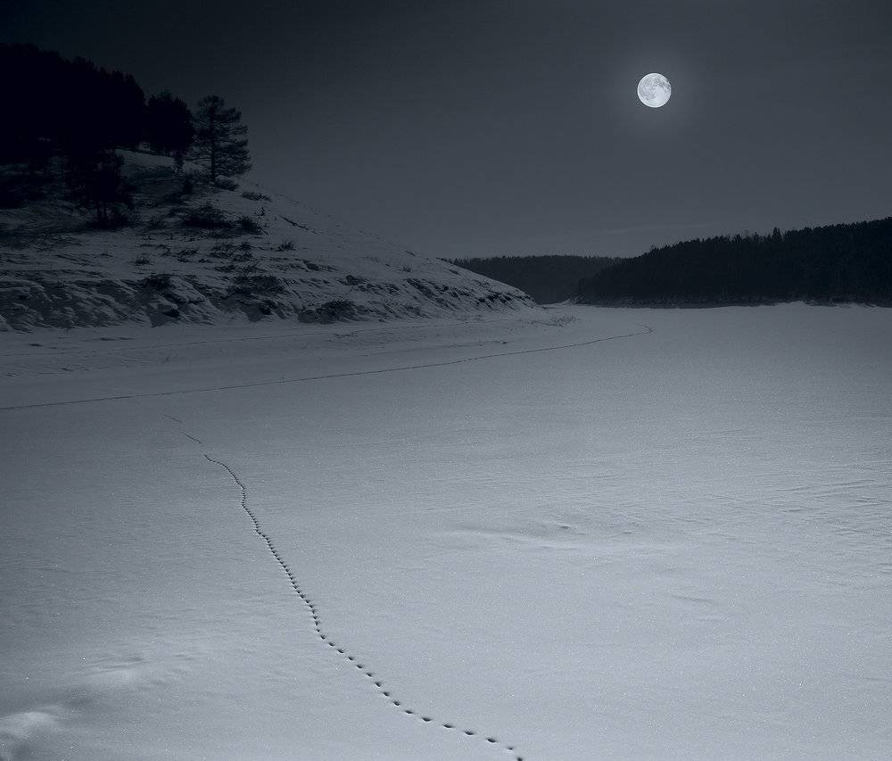 , Николай Морский