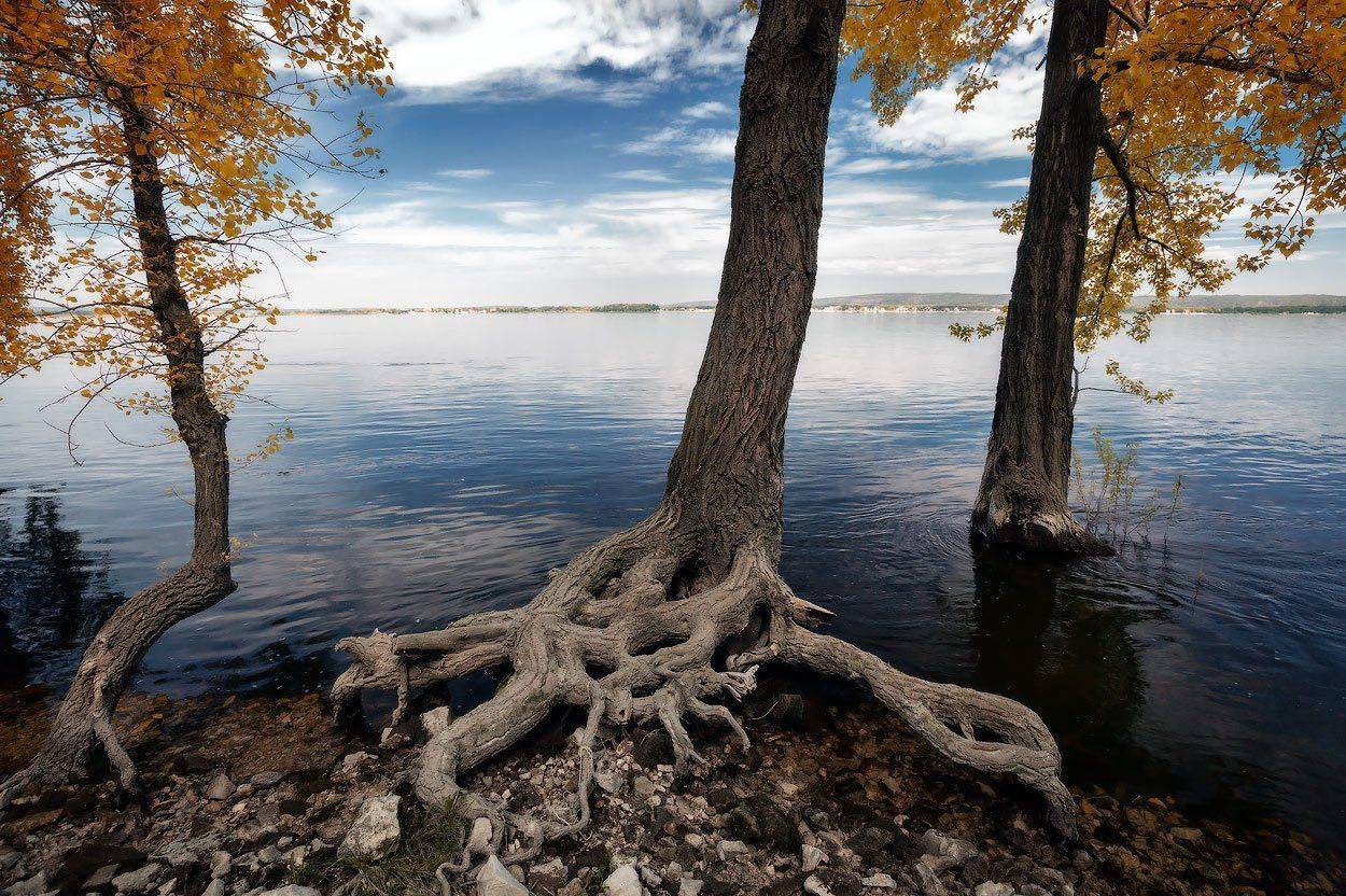 , Владимир Ляпин