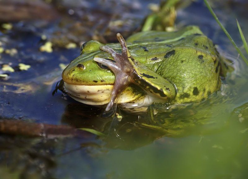 Про эмоции крупным планом фото превью