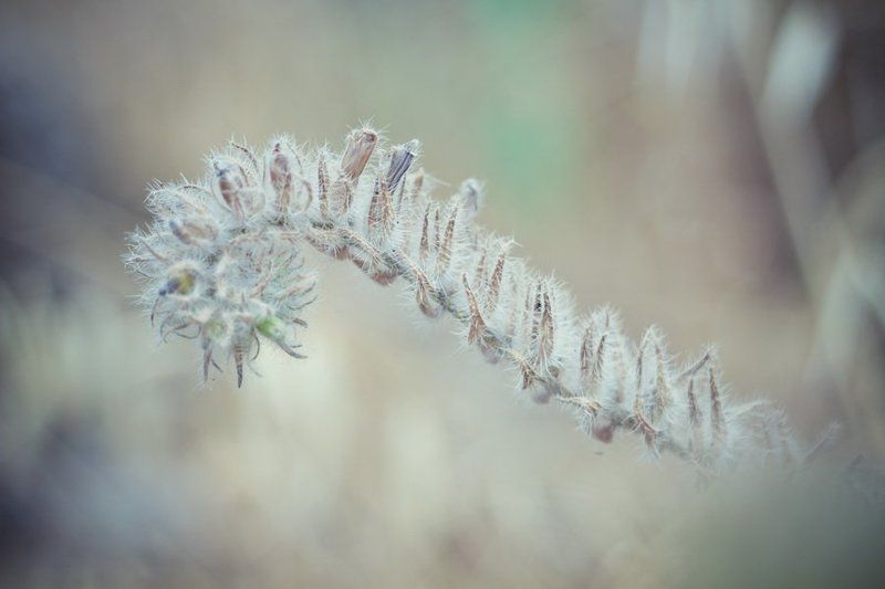 Пробуждение. фото превью