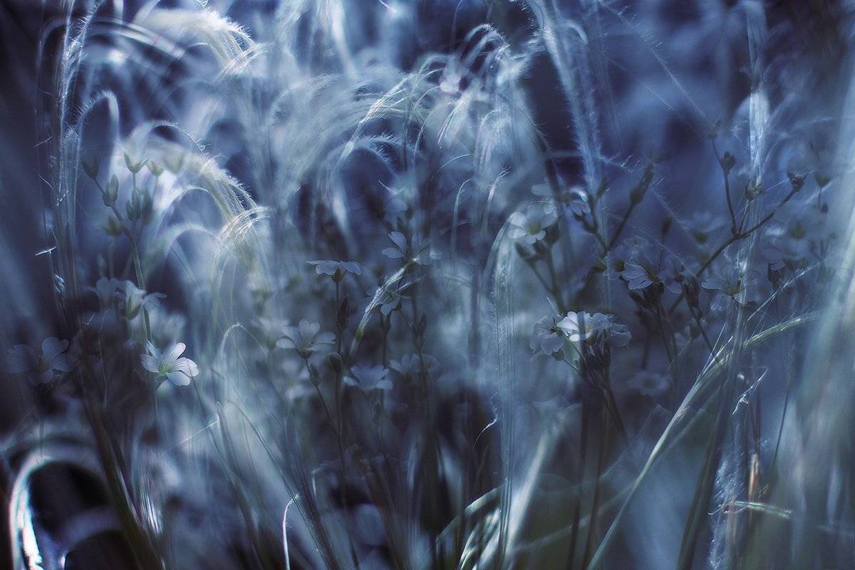 , Михаил  Пилипенко