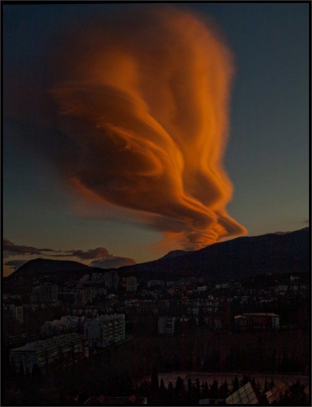 Кто выпустил джина из бутылки? фото превью