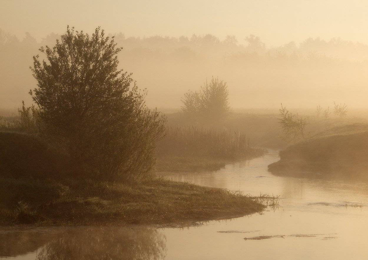 , Владимир Перепечаев