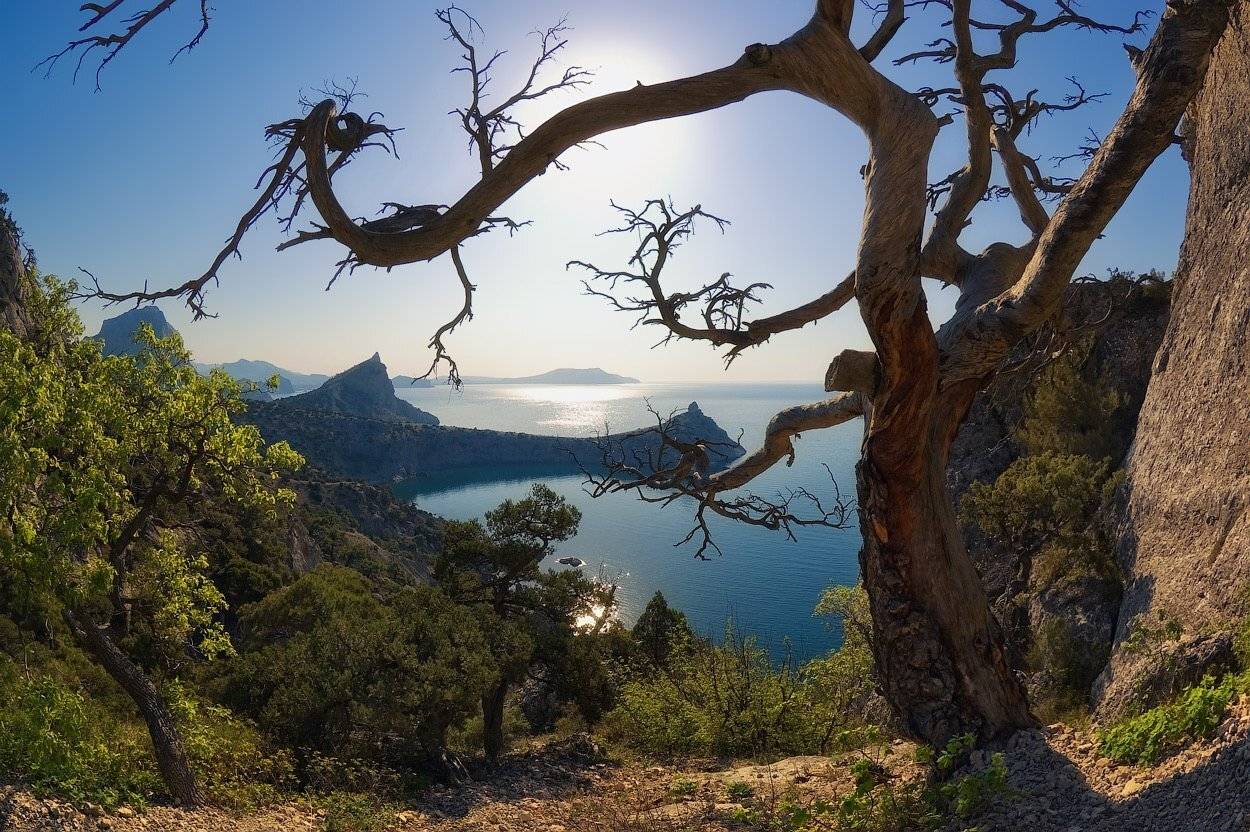 , Игорь Мелекесцев