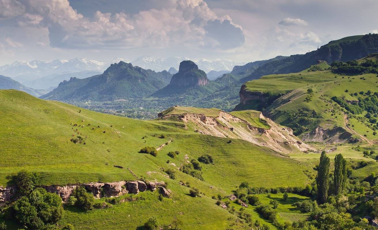 карачаево, черкиссия, холмы, коровы, шоана, Николай Мысливцев
