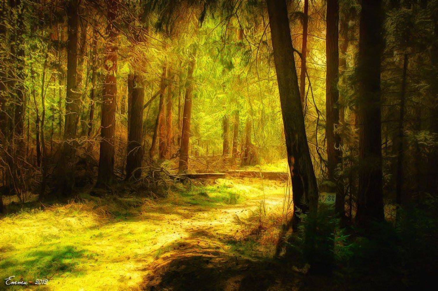 лес, природа, етти