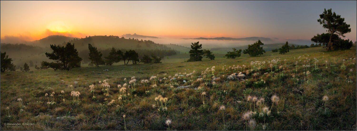 вечер, закат, ай-петри, сон, трава, Александр Киценко