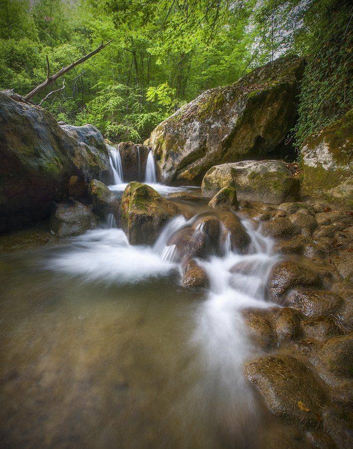 , Виталий Башкатов