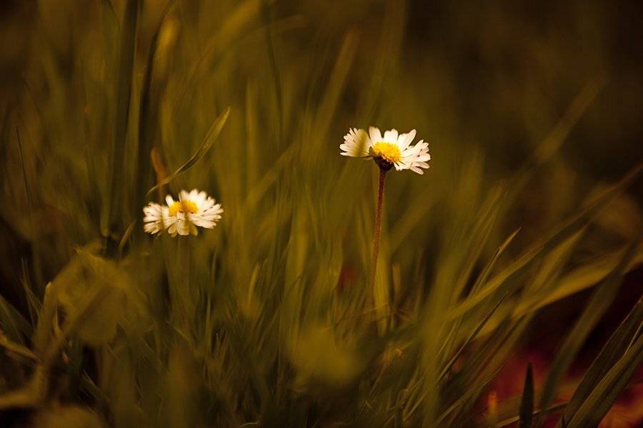 природа,весна, Мария