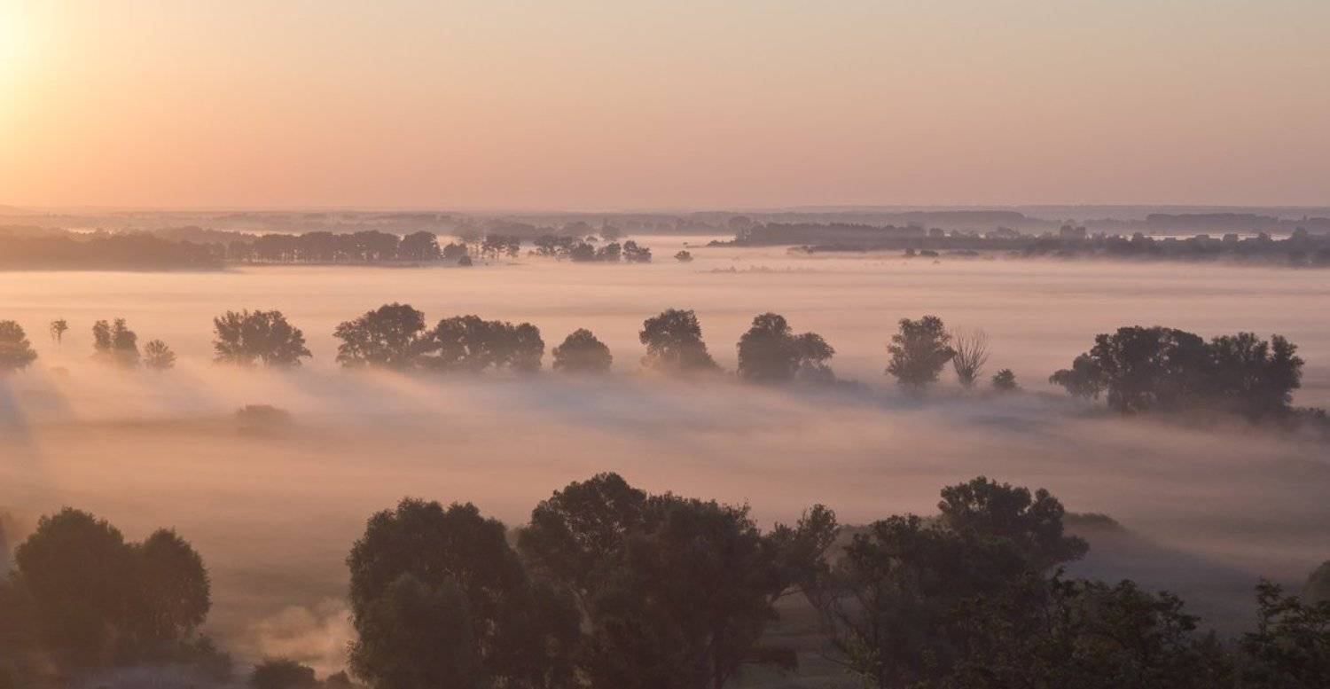 , Александр Подрез